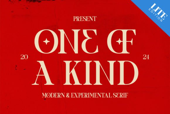 One of a Kind: A Modern Serif with a Creative Edge