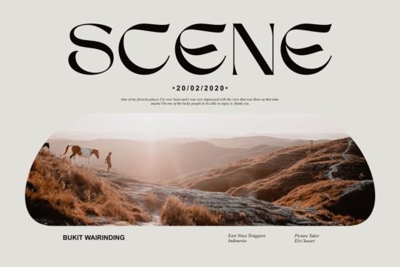 Why Sego Is the Stylish Serif Your Design Toolkit Needs